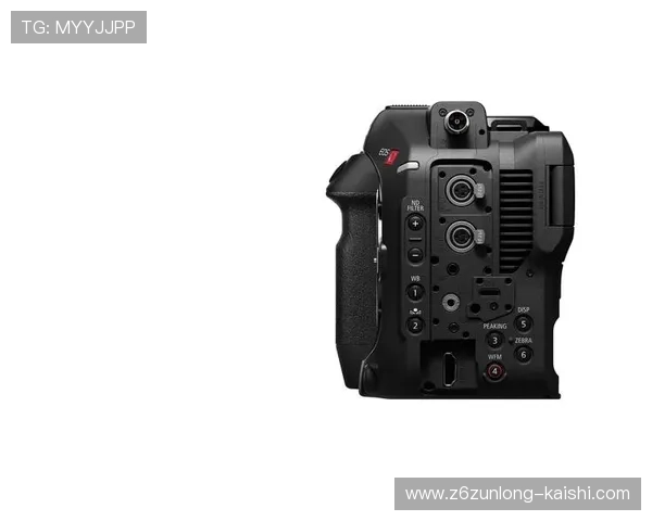 尊龙凯时z6安全登录入口确保玩家账号信息安全与顺畅体验的详细指南