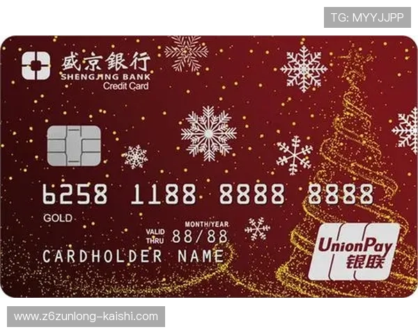 尊龙国际娱乐充值提现流程详解确保每一笔交易安全顺畅